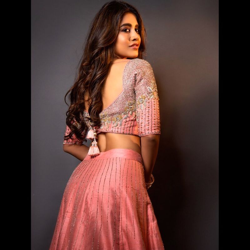 Ismart shankar heroine nabha natesh stunning photos