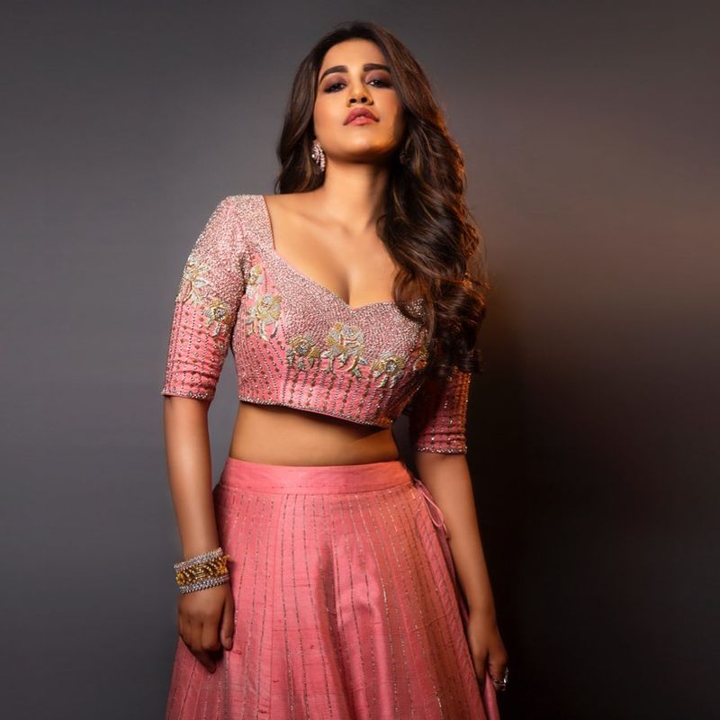 Ismart shankar heroine nabha natesh stunning photos