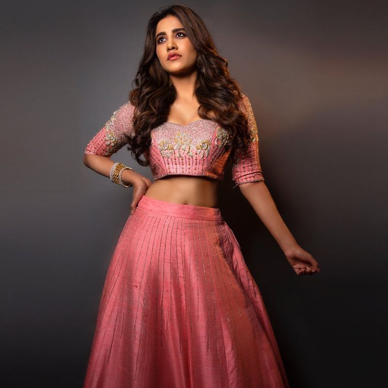 Ismart shankar heroine nabha natesh stunning photos