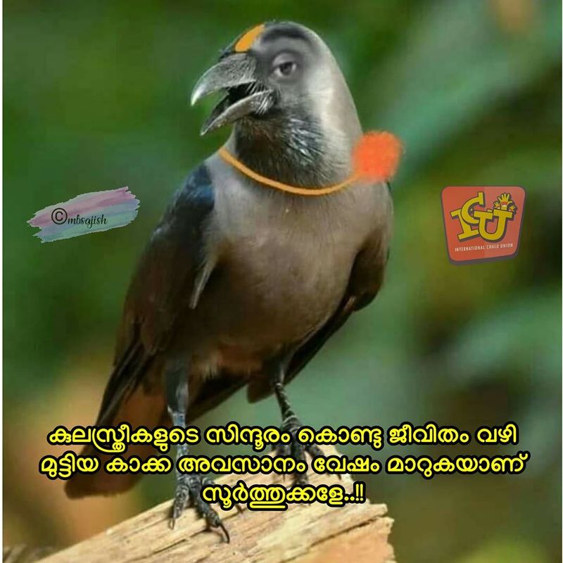 relation between sindhooram and crow trolls