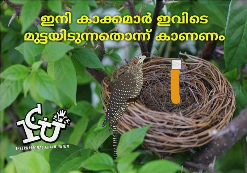 relation between sindhooram and crow trolls