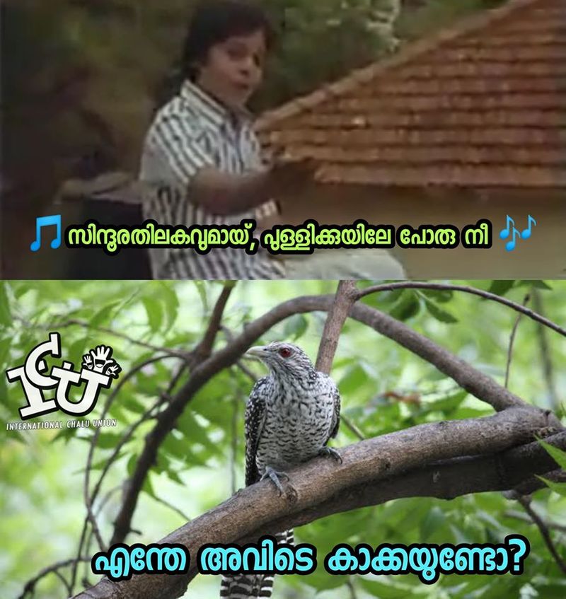 relation between sindhooram and crow trolls