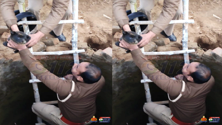 Uttar Pradesh Cop Rescues 3 Puppies From Snake-Infested Well Uttar Pradesh Cop Rescues 3 Puppies From Snake-Infested Well