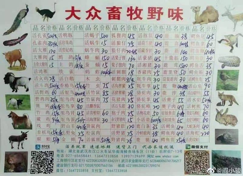 the wildlife meat sold illegally in Wuhan cited source of Corona virus epidemic