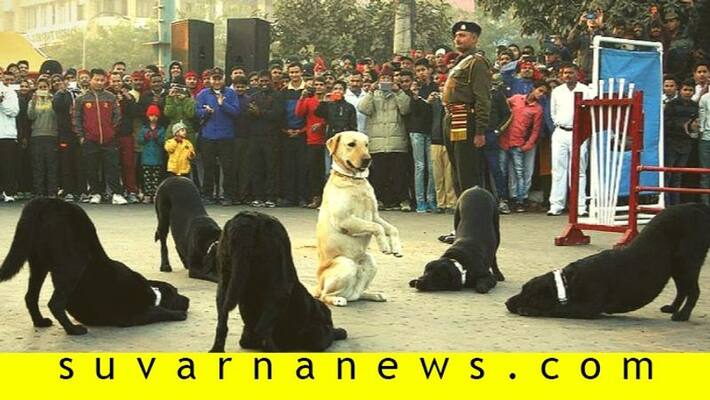 India first war memorial for animals to come up in Meerut India first war memorial for animals to come up in Meerut