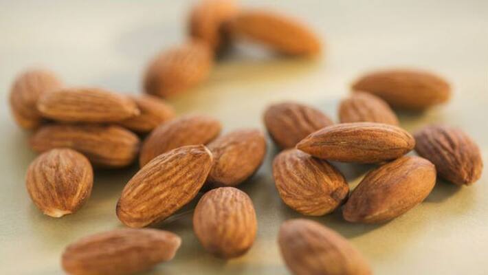 bitter almonds are highly dangerous for body bitter almonds are highly dangerous for body