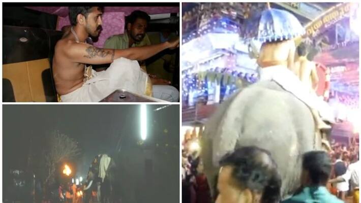 Kannur elephant violence two injured Kannur elephant violence two injured