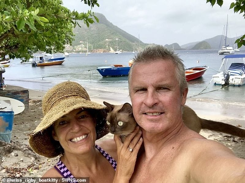miss rigby Journeys rigby the cat living in sea not in land