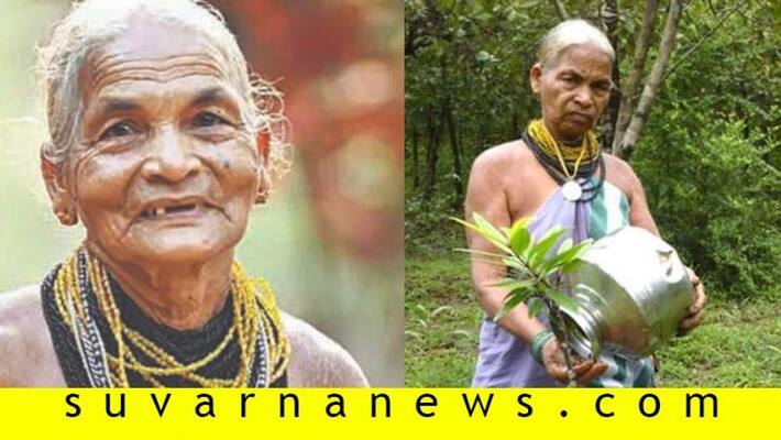 Padmashri Tulasi Gowda plants tree from her 23 age till now Padmashri Tulasi Gowda plants tree from her 23 age till now