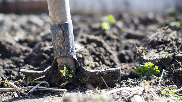 Profitable crops grow in February Profitable crops grow in February