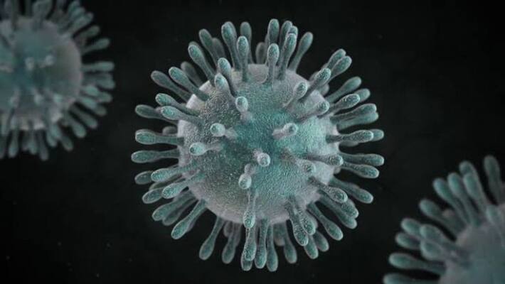 coronavirus 82 death reported from chaina coronavirus 82 death reported from chaina