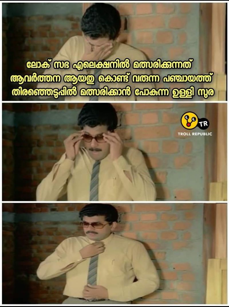troll against k surendran facebook post on kerala human chain protest constitution