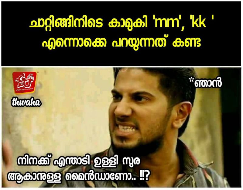 troll against k surendran facebook post on kerala human chain protest constitution