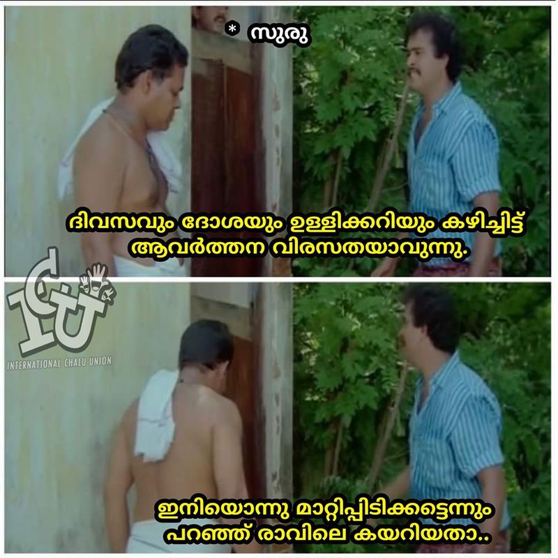 troll against k surendran facebook post on kerala human chain protest constitution