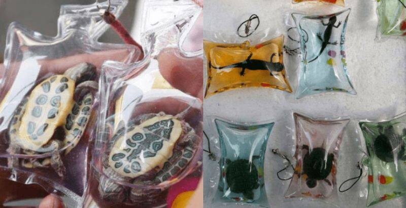 Animals  being tortured in plastic key chains
