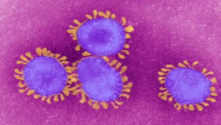 Corona Virus Phobia in Bengaluru City Corona Virus Phobia in Bengaluru City