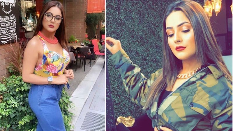 বিগ বসের বাড়িতে থাকাকালীন শেহনাজ ও দেবলীনা অন্যান্য সদস্যদের সঙ্গে আড্ডা দিচ্ছিলেন। আর সেই আড্ডা চলাকালীন নিজেকে ভাল মনের মানুষ হিসেবে প্রমাণ করতে গিয়ে 'চরিত্রহীন' বলে সম্বোধন করেছিলেন।
