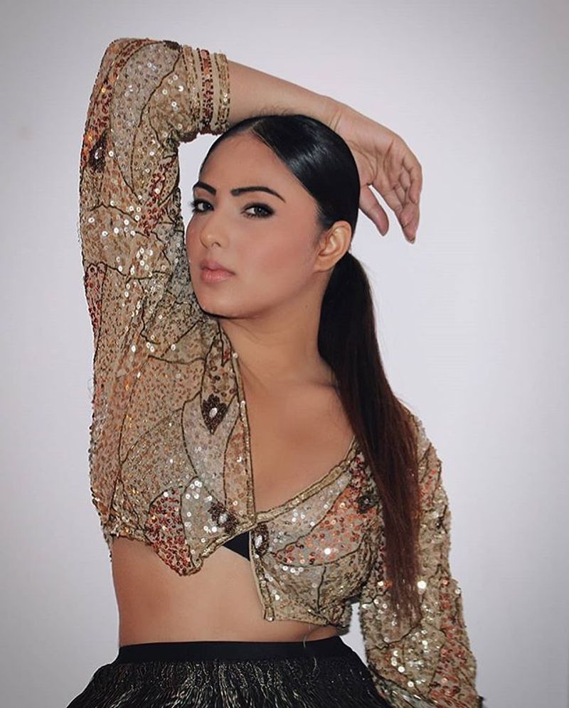 Actress Nikesha Patel Latest Instagram Photos
