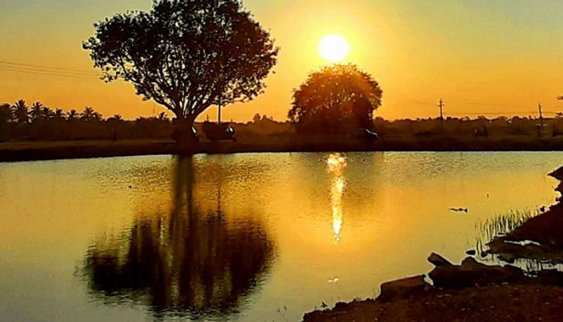 photo gallery of Winter in mysore