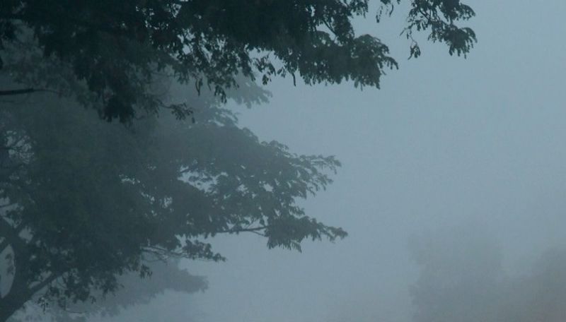 photo gallery of Winter in mysore