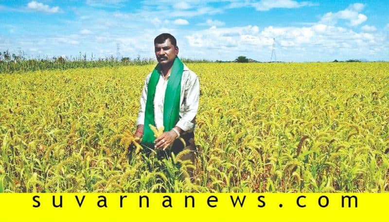 Chitradurga farmers earns crores by growing millets in barren land