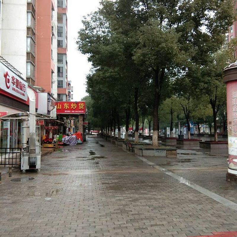 coronavirus in china photo gallery