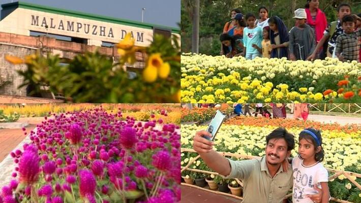 fresh look for malampuzha garden with new flower garden fresh look for malampuzha garden with new flower garden