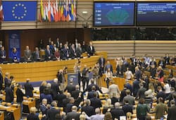 MPs of Indian origin support India not in Pakistan but in European Parliament