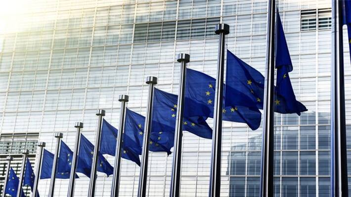 European Parliament debates anti CAA motion, vote delayed European Parliament debates anti CAA motion, vote delayed