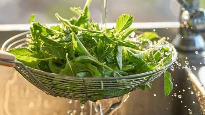 weight loss and benefits of Tulsi Water weight loss and benefits of Tulsi Water
