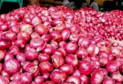 Onion prices are getting colder due to increasing heat