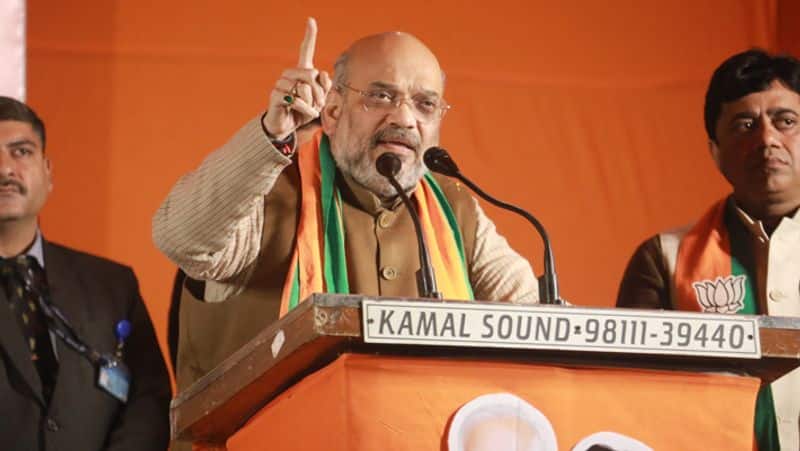 Delhi Assembly election 2020: Kejriwal has done nothing for national capital except spreading lies, says Amit Shah