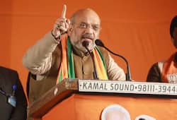 Delhi Assembly election 2020: Kejriwal has done nothing for national capital except spreading lies, says Amit Shah
