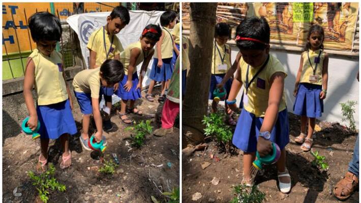 children help for haritha keralam children help for haritha keralam