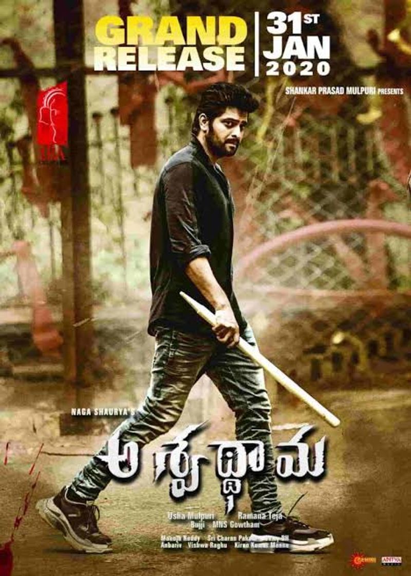 Naga Shourya's Aswathama Review