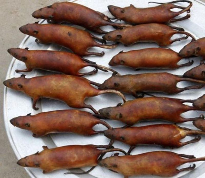 chinese main coronavirus eating food