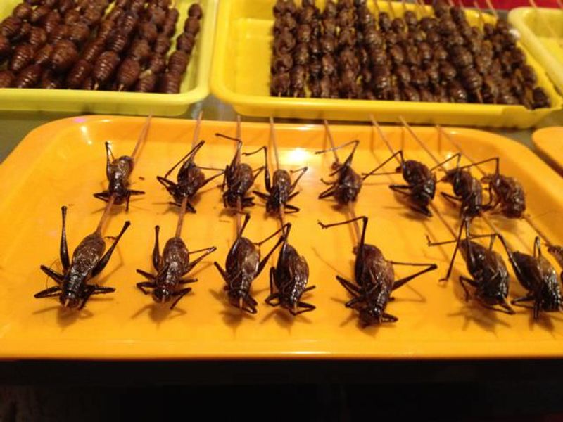 chinese main coronavirus eating food