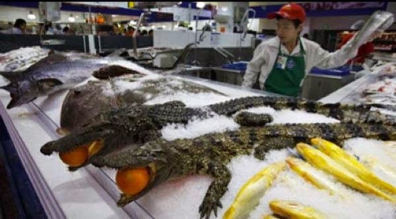 chinese main coronavirus eating food