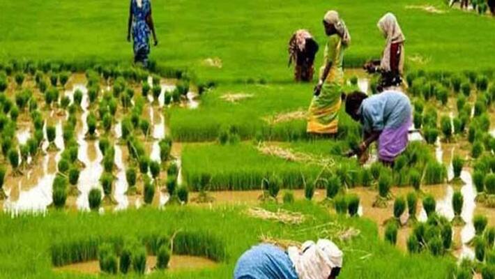 Farmers' incomes double by 2022...Nirmala Sitharaman Action Farmers' incomes double by 2022...Nirmala Sitharaman Action