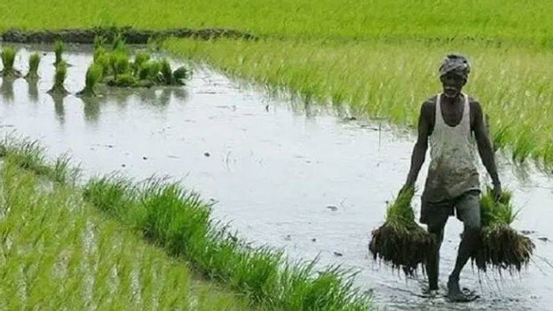 Farmers' incomes double by 2022...Nirmala Sitharaman Action