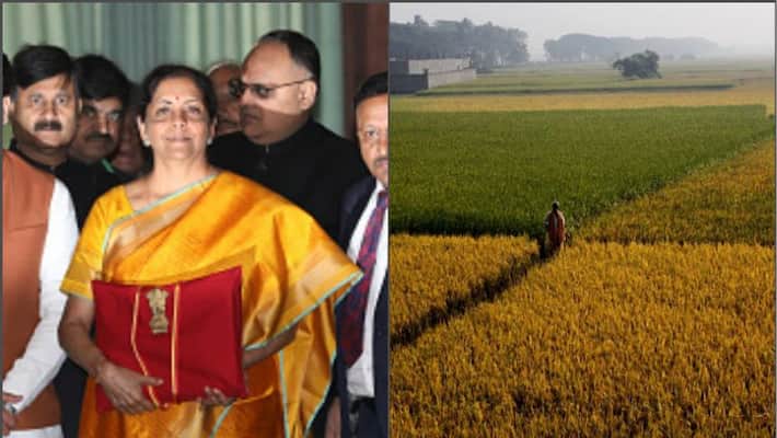 Sitharaman announces Rs 2.83 lakh crore budget for agricultural sector Sitharaman announces Rs 2.83 lakh crore budget for agricultural sector