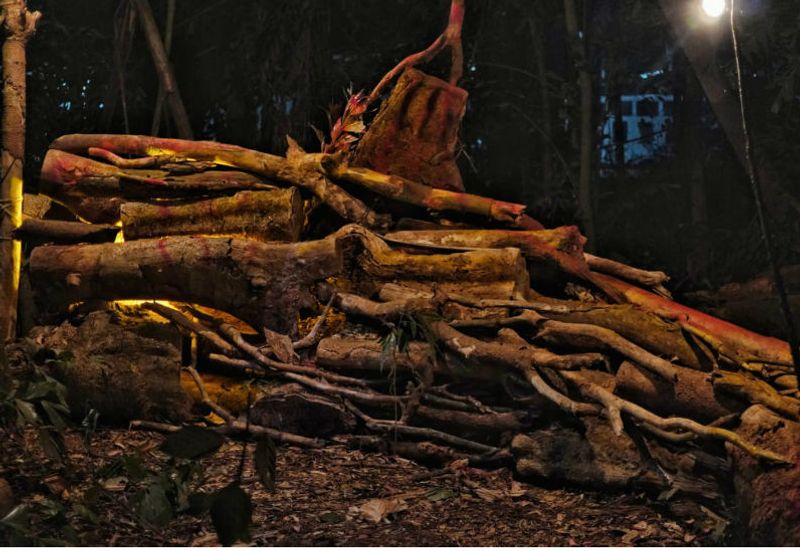 പട്ടാമ്പി ഗവ. സംസ്കൃത കോളജില് നടന്ന കവിതയുടെ കാര്ണിവലിനോടനുബന്ധിച്ച് നടന്ന പോയട്രി ഇന്സ്റ്റലേഷനില്നിന്ന്.