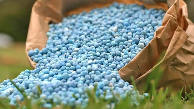 Russiaukraine crisis to push up fertiliser prices, govt subsidies