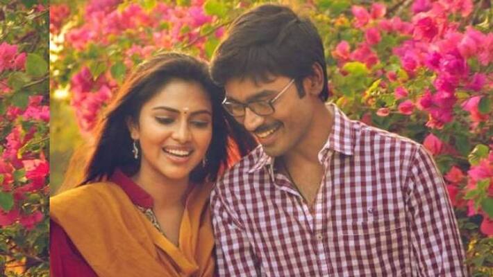 Actor Dhanush has no reason for my divorce Amala paul open talk Actor Dhanush has no reason for my divorce Amala paul open talk