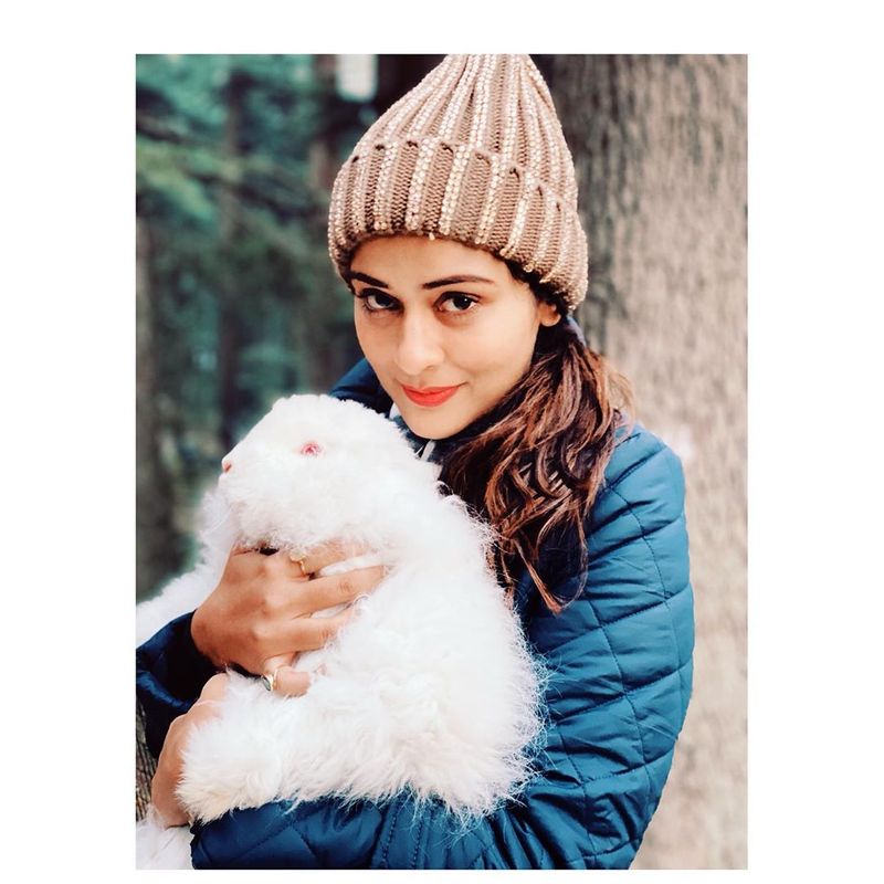 actress payal rajput photo gallery