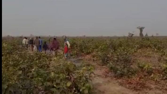 Body of a woman found in jungle at Salboni in West Midnapore Body of a woman found in jungle at Salboni in West Midnapore