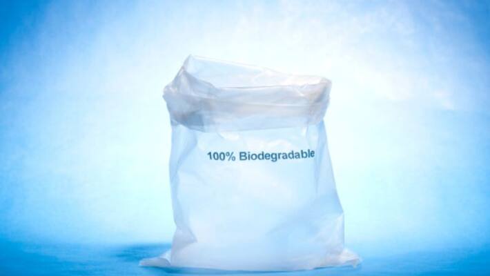 Raipur NIT College Three students invent a biodegradable plastic which is made by maize Raipur NIT College Three students invent a biodegradable plastic which is made by maize