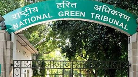 How many dead bodies were found on the banks of the Ganges during the Corona period? NGT asked questions from UP, Bihar
