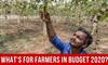 From KISAN Rail To One-Product One-District; Top 10 Key Highlights of Budget 2020 For Doubling Farmers Income By 2022