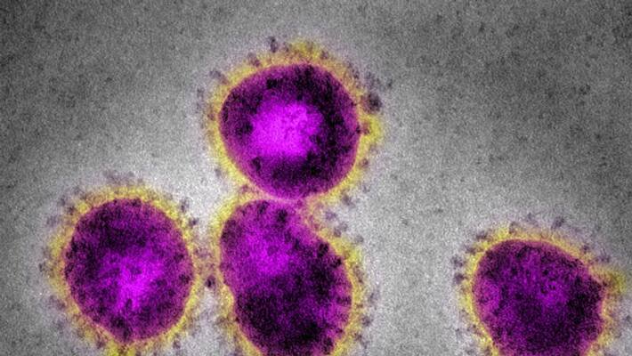 2 Youth Suspected to Have Coronavirus Go Missing from Hospital in Madhya pradesh 2 Youth Suspected to Have Coronavirus Go Missing from Hospital in Madhya pradesh